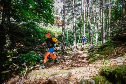 Los atletas cerraron este domingo el Mundial de Skyrunning de Soria con un recorrido de 37 kilómetros por algunos de los bosques más bellos de España.