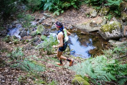 Los atletas cerraron este domingo el Mundial de Skyrunning de Soria con un recorrido de 37 kilómetros por algunos de los bosques más bellos de España.