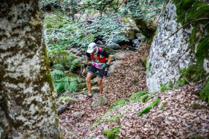 Los atletas cerraron este domingo el Mundial de Skyrunning de Soria con un recorrido de 37 kilómetros por algunos de los bosques más bellos de España.