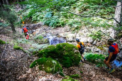 Los atletas cerraron este domingo el Mundial de Skyrunning de Soria con un recorrido de 37 kilómetros por algunos de los bosques más bellos de España.