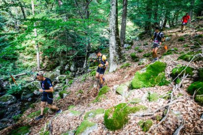 Los atletas cerraron este domingo el Mundial de Skyrunning de Soria con un recorrido de 37 kilómetros por algunos de los bosques más bellos de España.