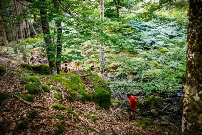 Los atletas cerraron este domingo el Mundial de Skyrunning de Soria con un recorrido de 37 kilómetros por algunos de los bosques más bellos de España.