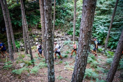 Los atletas cerraron este domingo el Mundial de Skyrunning de Soria con un recorrido de 37 kilómetros por algunos de los bosques más bellos de España.