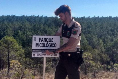 Un guarda coloca un cartel de Parque Micológico Montes de Soria.