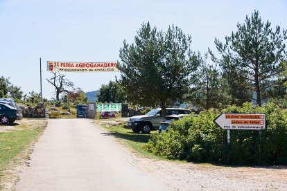 Covaleda celebra su feria ganadera de 2024.