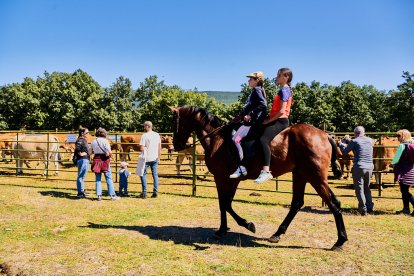 Covaleda celebra su feria ganadera de 2024.