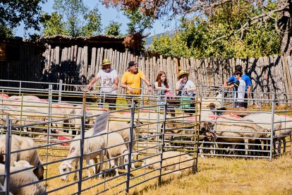 Covaleda celebra su feria ganadera de 2024.