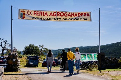 Covaleda celebra su feria ganadera de 2024.