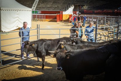 Buenos ejemplares en el coso de San Benito