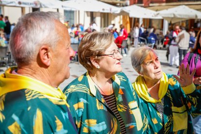 Ólvega celebra su penúltimo día de fiestas con estas actividades.