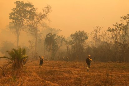 Los bomberos forestales de la BRIF de Lubia se encuentran en Monte Verde junto con los otros 38 profesionales enviados por el Gobierno central a Bolivia.