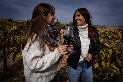 Experiencias inmersivas durante la vendimia en la Ribera del Duero.