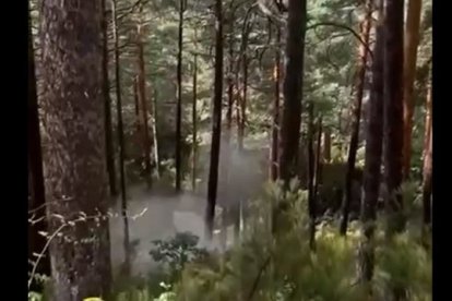 El Ayuntamiento de Duruelo ha subido a su cuenta de Instagram el vídeo en el que los Tedax detonan la granada encontrada en los montes de Soria por una persona que buscaba setas. La perspicacia del recolector, que ha identificado el artefacto y ha dado aviso, ha sido clave para evitar daños personales. Un suceso curioso que ha quedado en un susto.