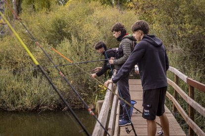 Los pescadores sacaron las cañas a las orillas del río Duero