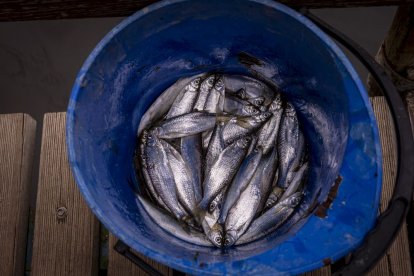 Los pescadores sacaron las cañas a las orillas del río Duero