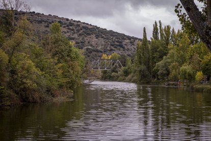 Los pescadores sacaron las cañas a las orillas del río Duero