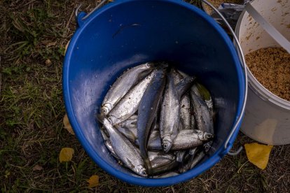 Los pescadores sacaron las cañas a las orillas del río Duero