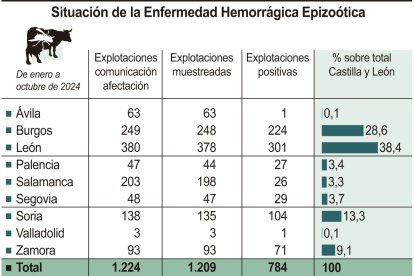 Situación de la Enfermedad Hemorrágica Epizoótica.