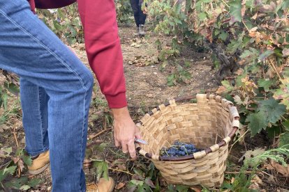 La elaboración del vino se convierte en todo un evento social