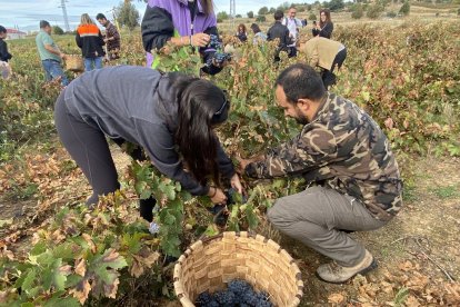 La elaboración del vino se convierte en todo un evento social