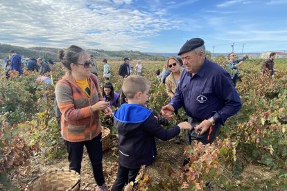 La elaboración del vino se convierte en todo un evento social