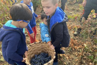 La elaboración del vino se convierte en todo un evento social