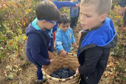 La elaboración del vino se convierte en todo un evento social