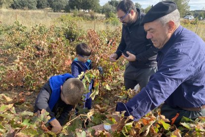 La elaboración del vino se convierte en todo un evento social