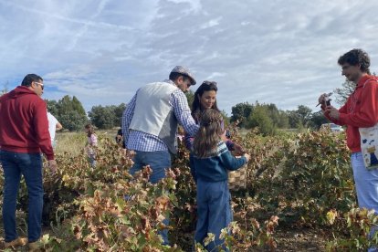 La elaboración del vino se convierte en todo un evento social