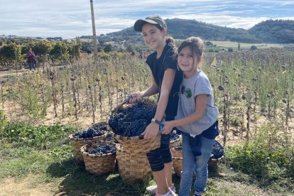 La elaboración del vino se convierte en todo un evento social