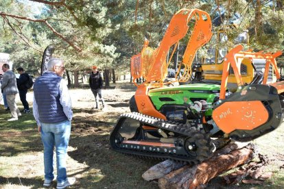 La feria se celebra en el Paraje El Cubillo