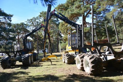 La feria se celebra en el Paraje El Cubillo