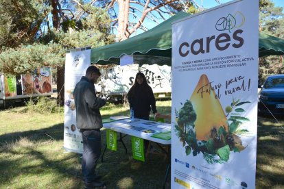 La feria se celebra en el Paraje El Cubillo