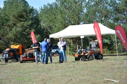 La feria se celebra en el Paraje El Cubillo