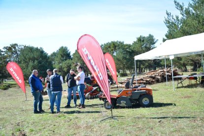 La feria se celebra en el Paraje El Cubillo