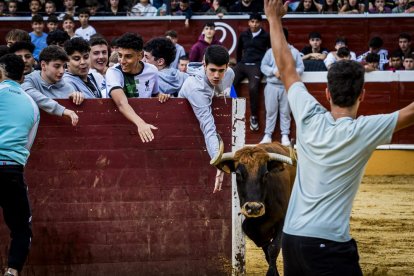 Los jóvenes sortearon a la vaquilla con soltura