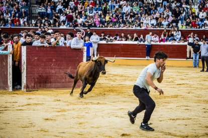 Los jóvenes sortearon a la vaquilla con soltura