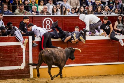 Los jóvenes sortearon a la vaquilla con soltura