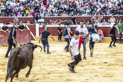 Los jóvenes sortearon a la vaquilla con soltura