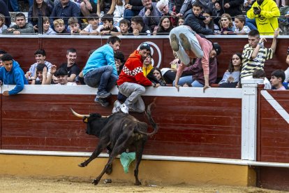 Los jóvenes sortearon a la vaquilla con soltura