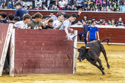 Los jóvenes sortearon a la vaquilla con soltura