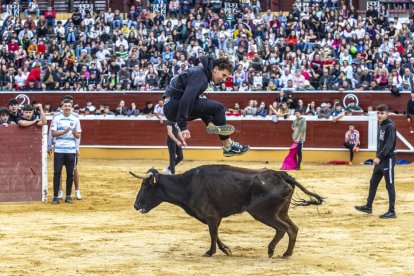 Los jóvenes sortearon a la vaquilla con soltura