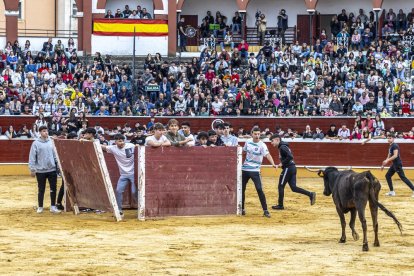 Los jóvenes sortearon a la vaquilla con soltura