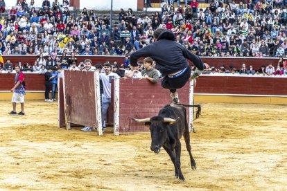 Los jóvenes sortearon a la vaquilla con soltura