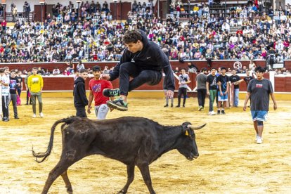 Los jóvenes sortearon a la vaquilla con soltura