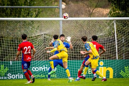 El CD Numancia B cae derrotado en casa