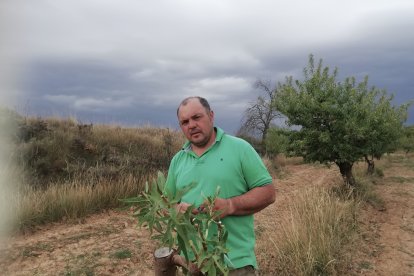 Jesus María López Cacho, gerente de Almendras del Moncayo.