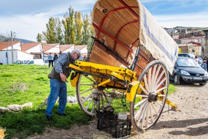 Ganado y actividades tradicionales en una agradable mañana