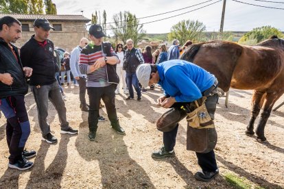 Ganado y actividades tradicionales en una agradable mañana