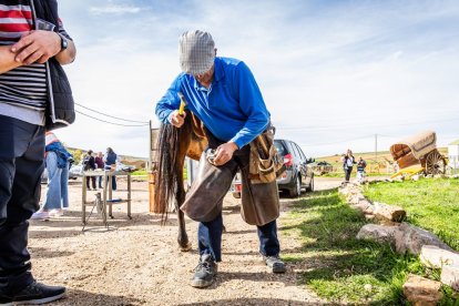 Ganado y actividades tradicionales en una agradable mañana